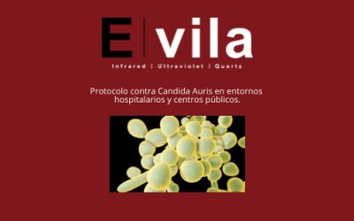 Protocolo contra Candida Auris en entornos hospitalarios y centros públicos.