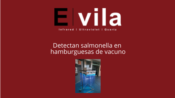 Detectan salmonella en hamburguesas de vacuno