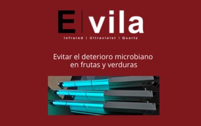 Evitar el deterioro microbiano en frutas y verduras