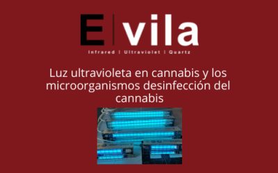 Luz ultravioleta en cannabis y los microorganismos desinfección del cannabis