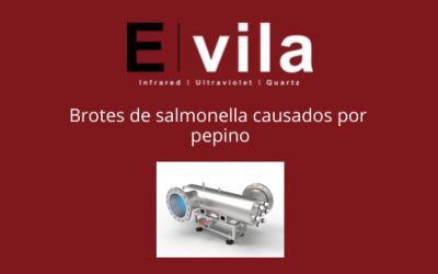 Brotes de salmonella causados por pepino