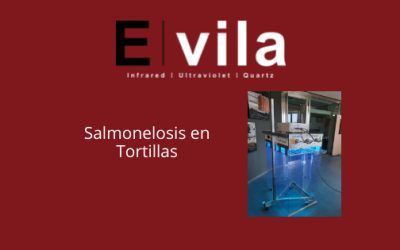 Salmonelosis en Tortillas