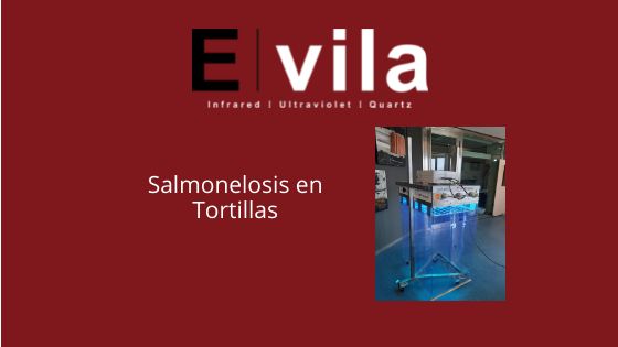 Salmonelosis en Tortillas