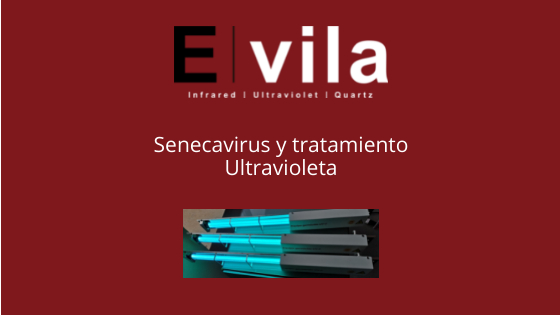 Senecavirus y tratamiento Ultravioleta