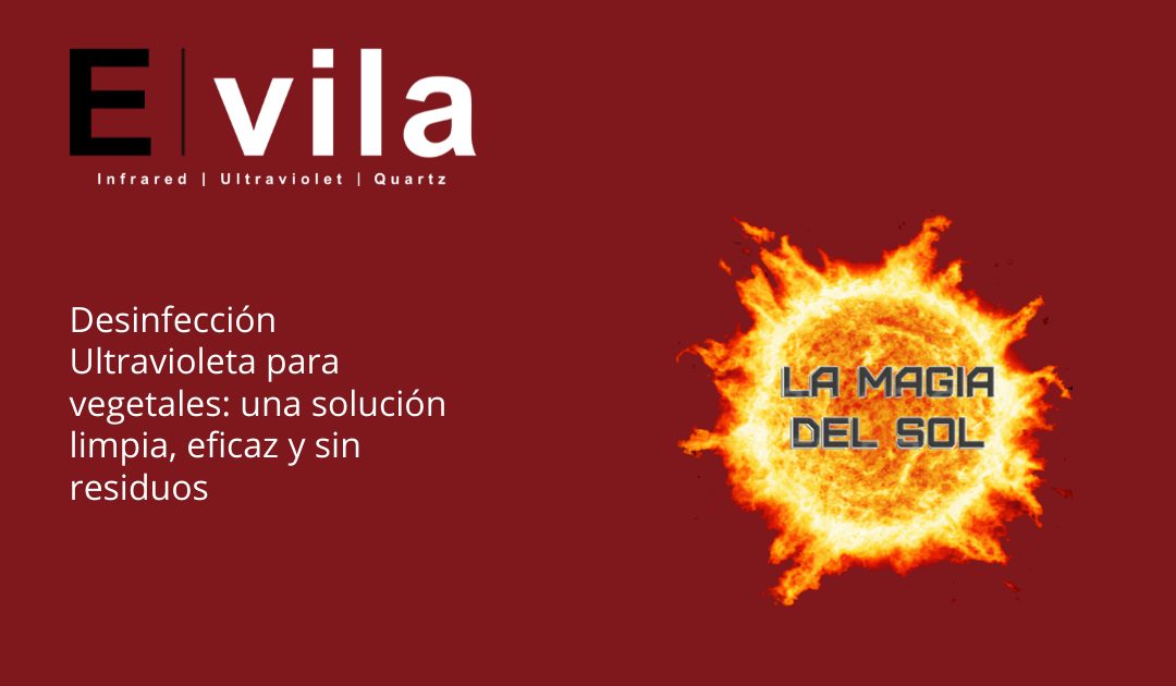 Desinfección Ultravioleta para vegetales: una solución limpia, eficaz y sin residuos