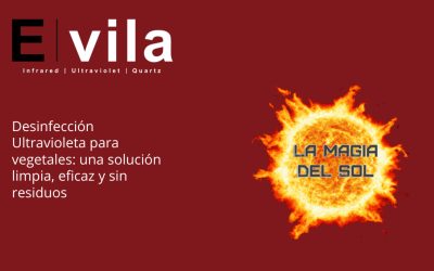 Desinfección Ultravioleta para vegetales: una solución limpia, eficaz y sin residuos