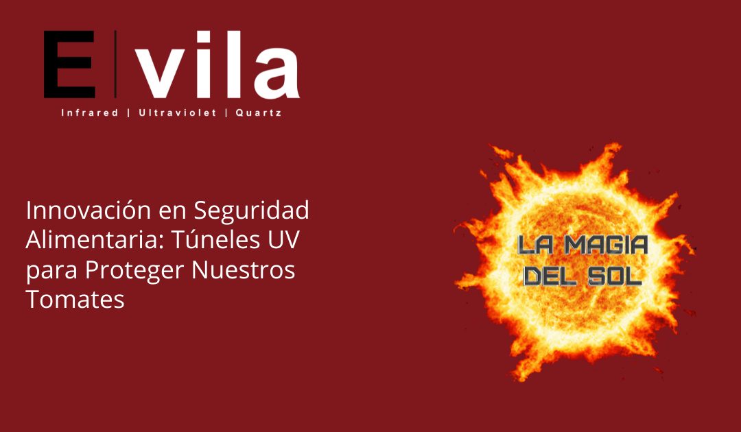 Innovación en Seguridad Alimentaria: Túneles UV para Proteger Nuestros Tomates