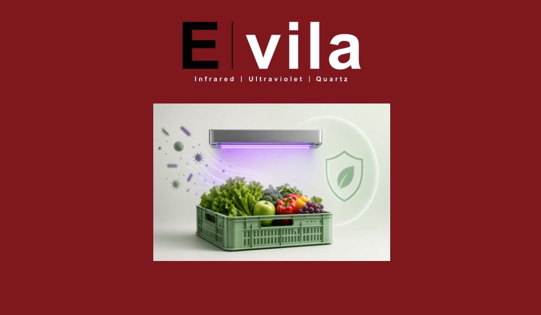 UV: An Innovative Technology to Protect the Safety of Fruits and Vegetables