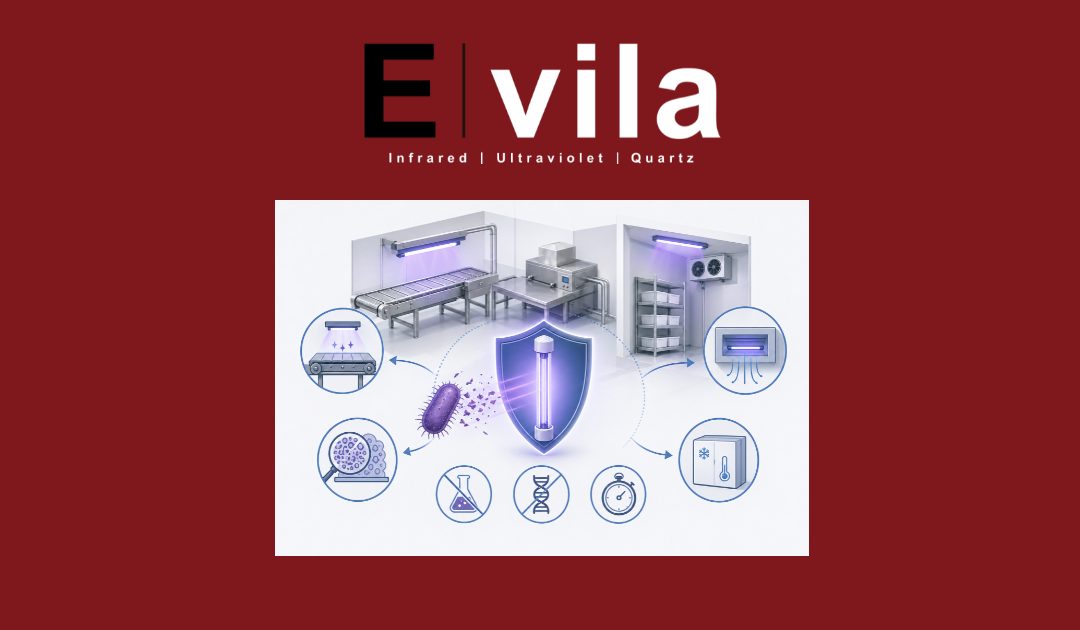 UV Technology as a Strategic Solution Against the Persistence of Listeria monocytogenes in Food Processing Environments